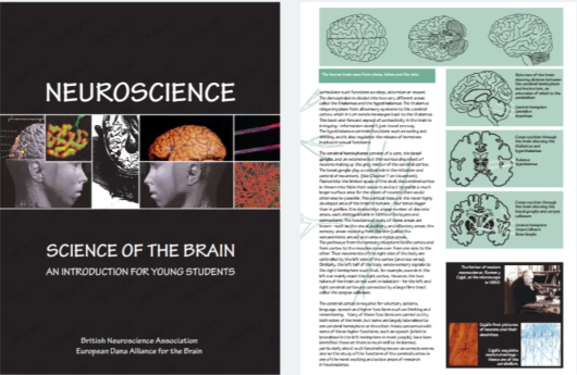 Brain Bee腦科學大賽