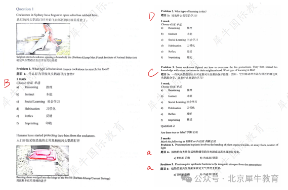 BBO /USABO /BrainBee生物競賽