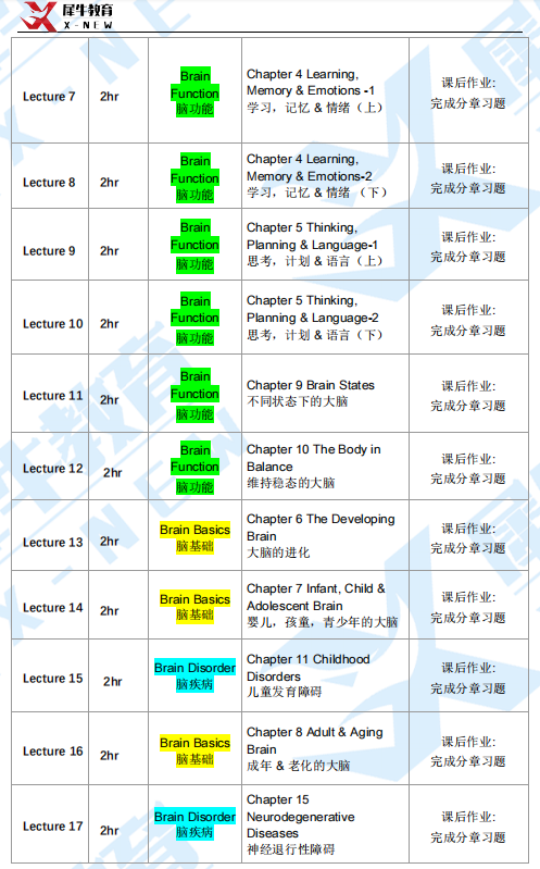 BrainBee腦科學大賽