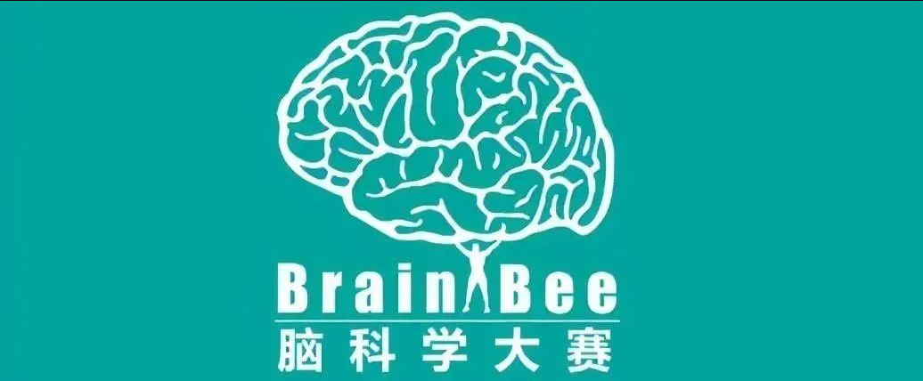 Brainbee腦科學(xué)大賽