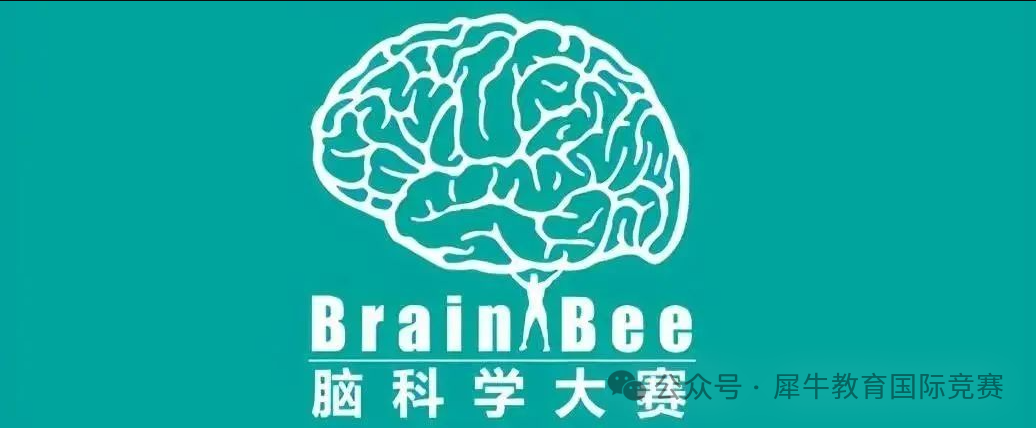 Brainbee腦科學大賽