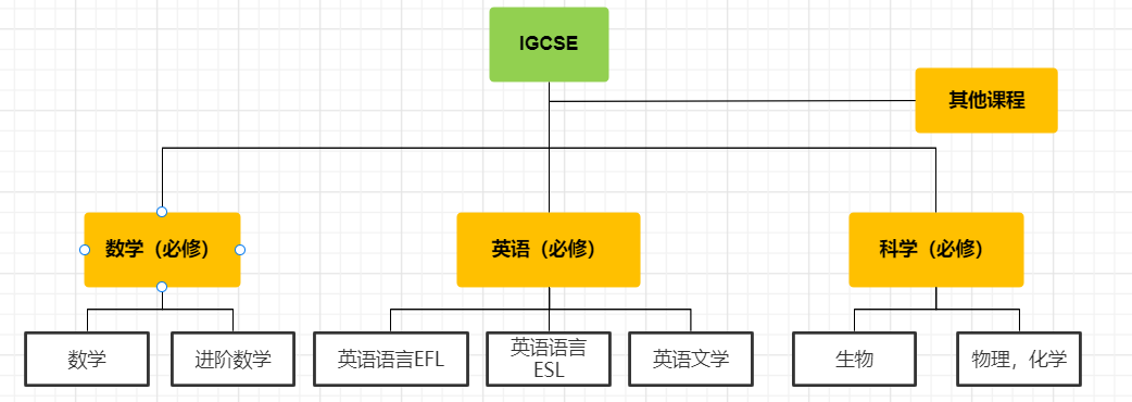 IGCSE